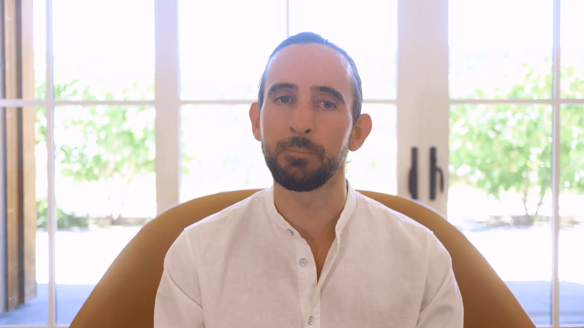 Exemple de mise à jour dans WordPress pour Divi 5 Alpha